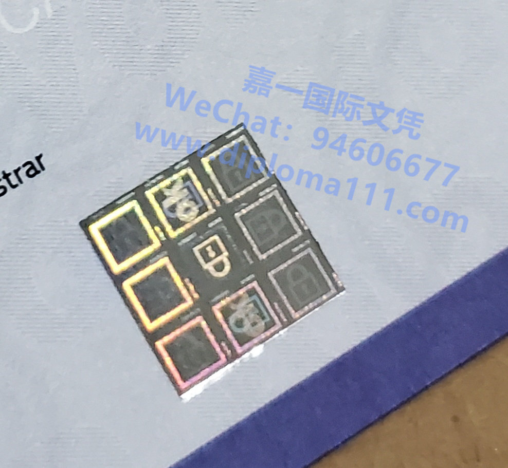 1705398644633703.jpg mmexport1705397353087.jpg
