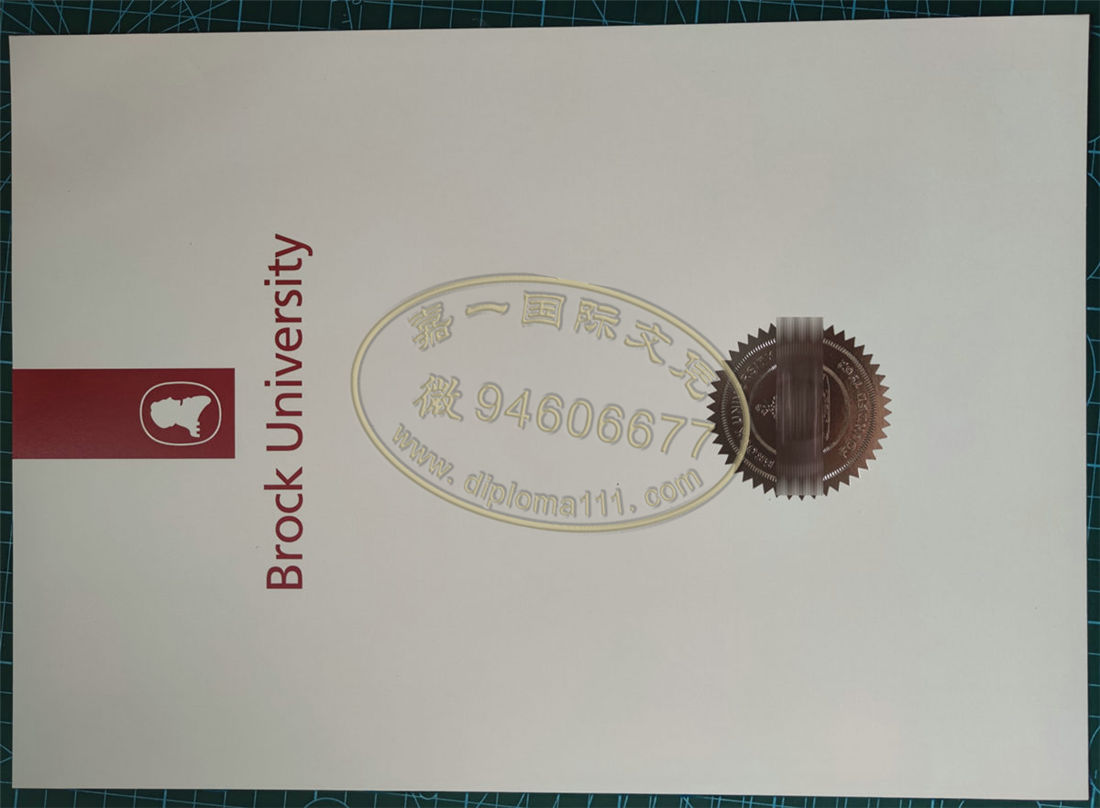 原版制作布鲁克大学毕业证案例，办理布洛克大学文凭进度图/