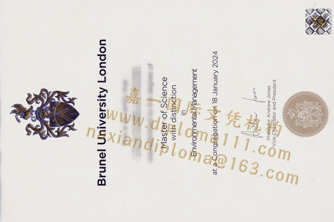 布鲁内尔大学毕业证样本,订购英国Brunel文凭学历参考图