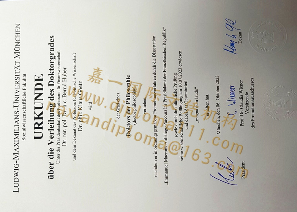 德国LMU博士文凭学历模板:慕尼黑大学毕业证成绩单样式图